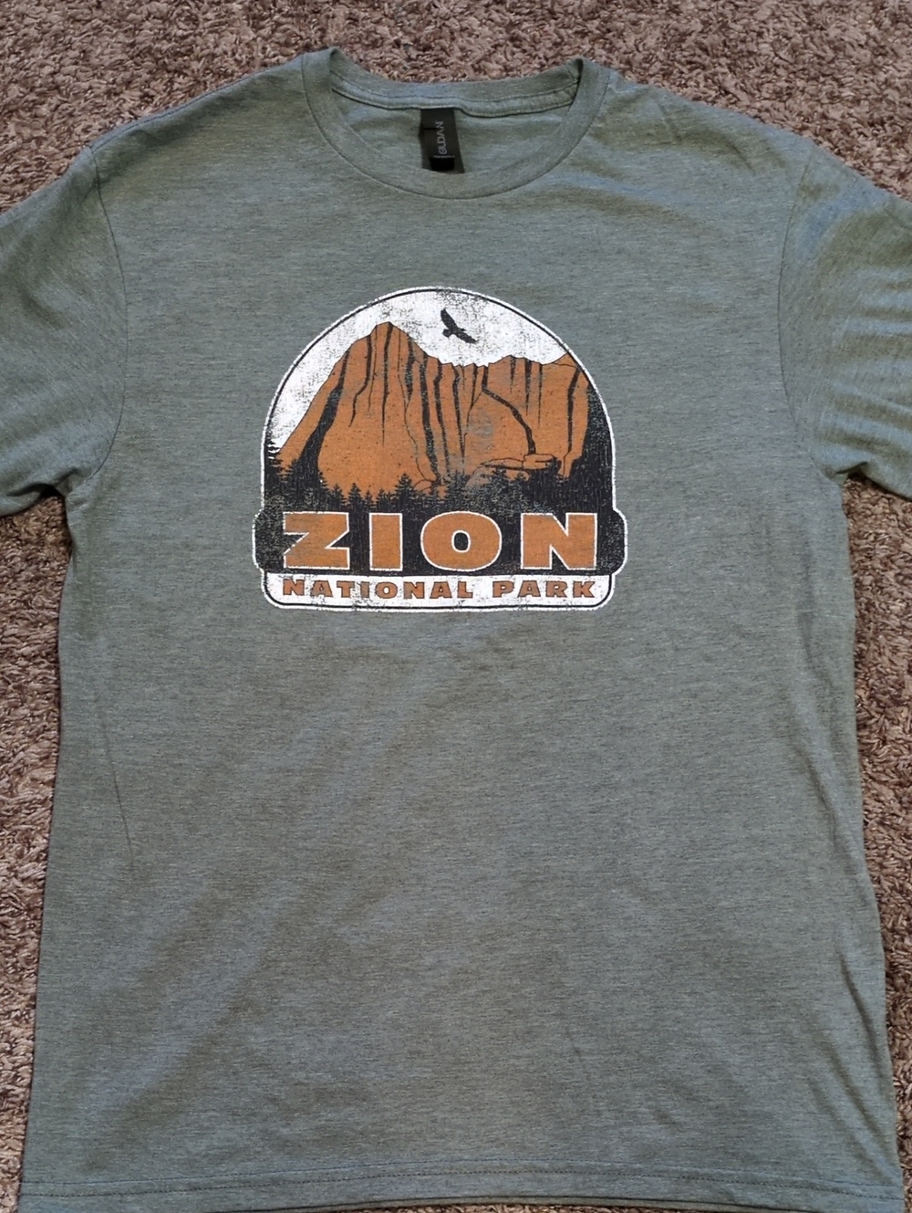 Gildan Olive Green Zion National Park Graphic Tee with Orange Print